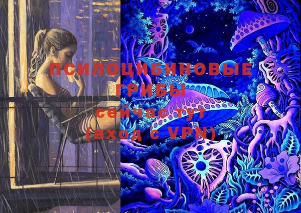 2c-b Саяногорск